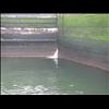 IMG_6625
3/21/2007 2:13:50 PM